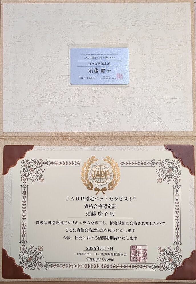 JADP認定の認定証