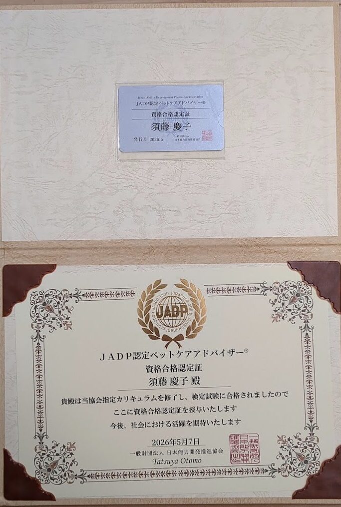 JADP認定の認定証